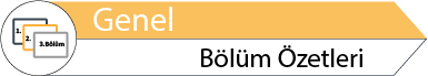 Alternate Text